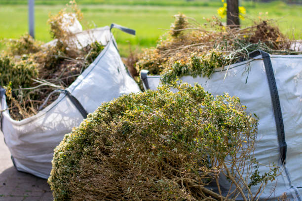 Best Yard Waste Removal  in Crestwood, IL